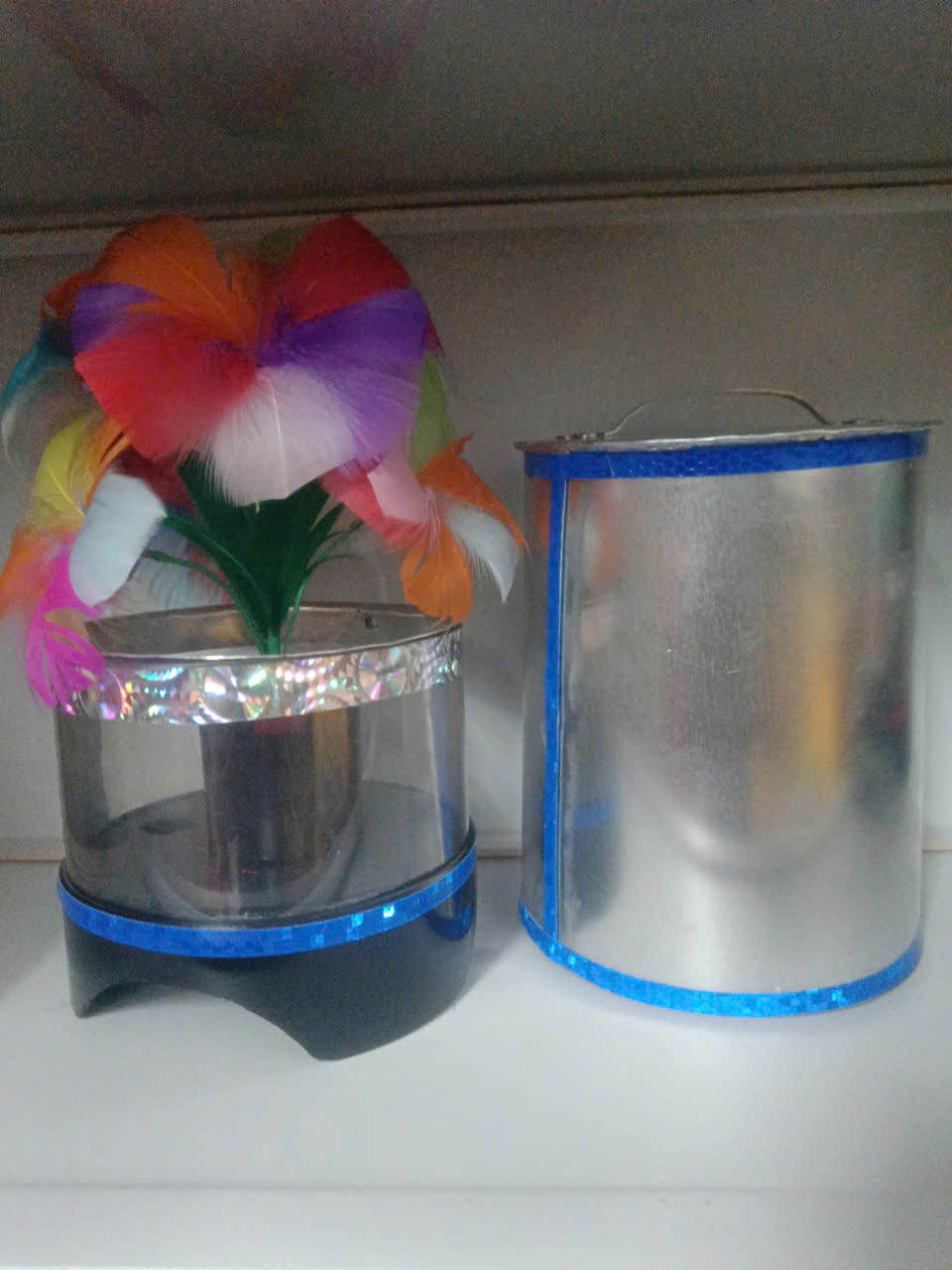 Phít ra chim bồ câu